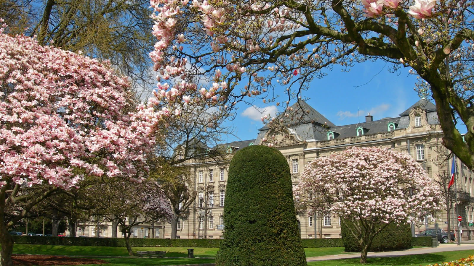 Le Willmann - Photo 2