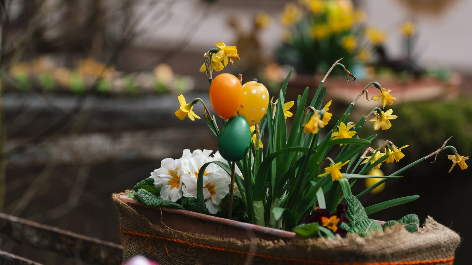 Le Willmann - Photo 4