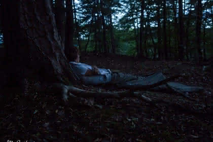 Manuela Peschmann Thérapie Forestière HD_@MGottfried - Nuit en forêt