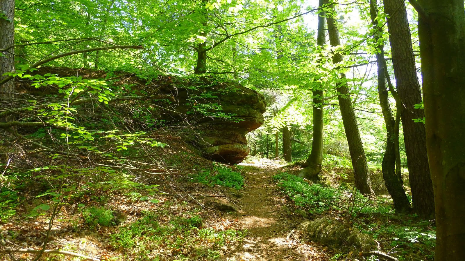 Trail from Imsthal to Loosthal - La Petite Pierre | Visit Alsace