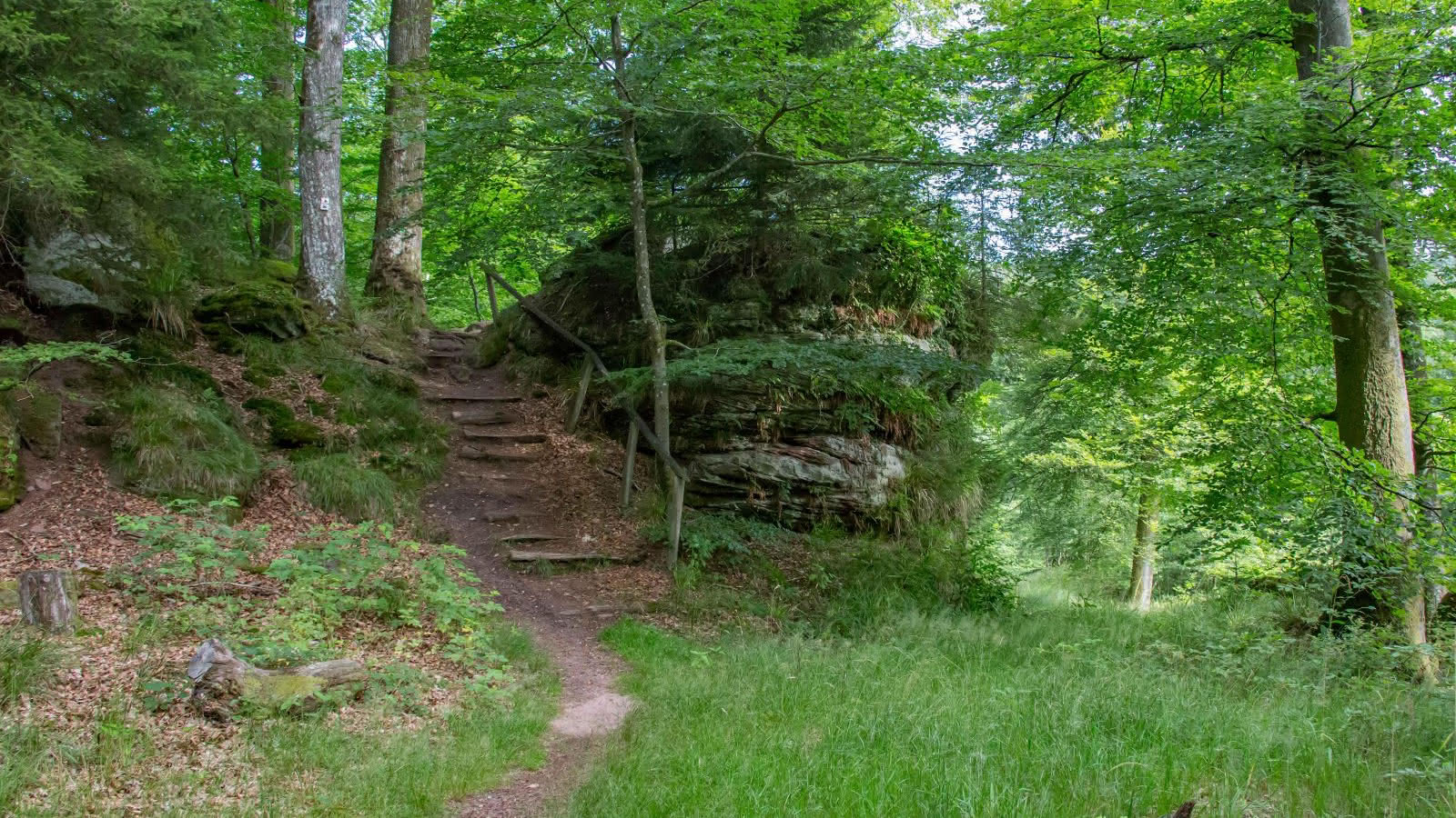 Trail from Imsthal to Loosthal - La Petite Pierre | Visit Alsace