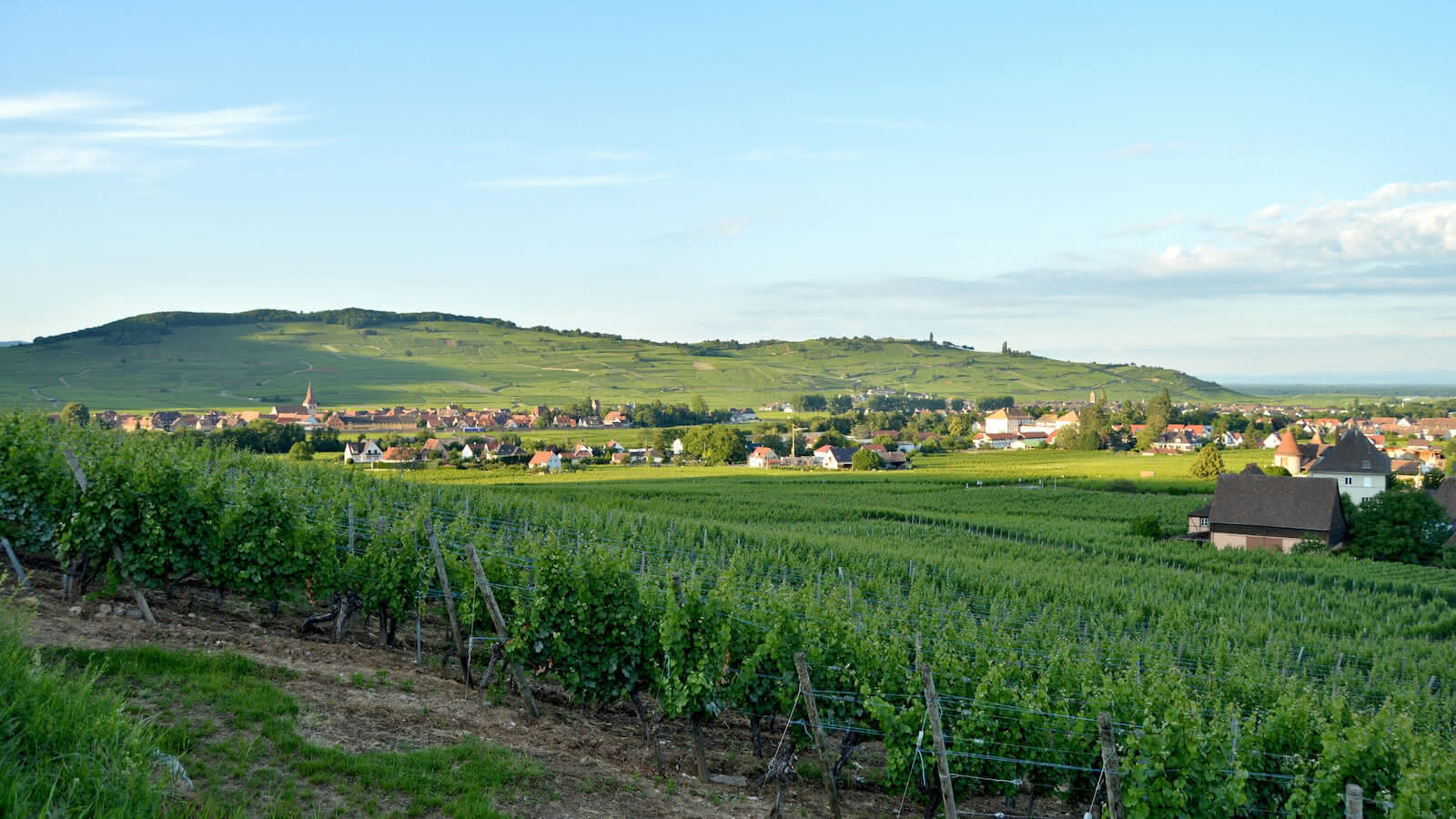 Sentier Kaysersberg Ammerschwihr Kaysersberg Vignoble Visit Alsace