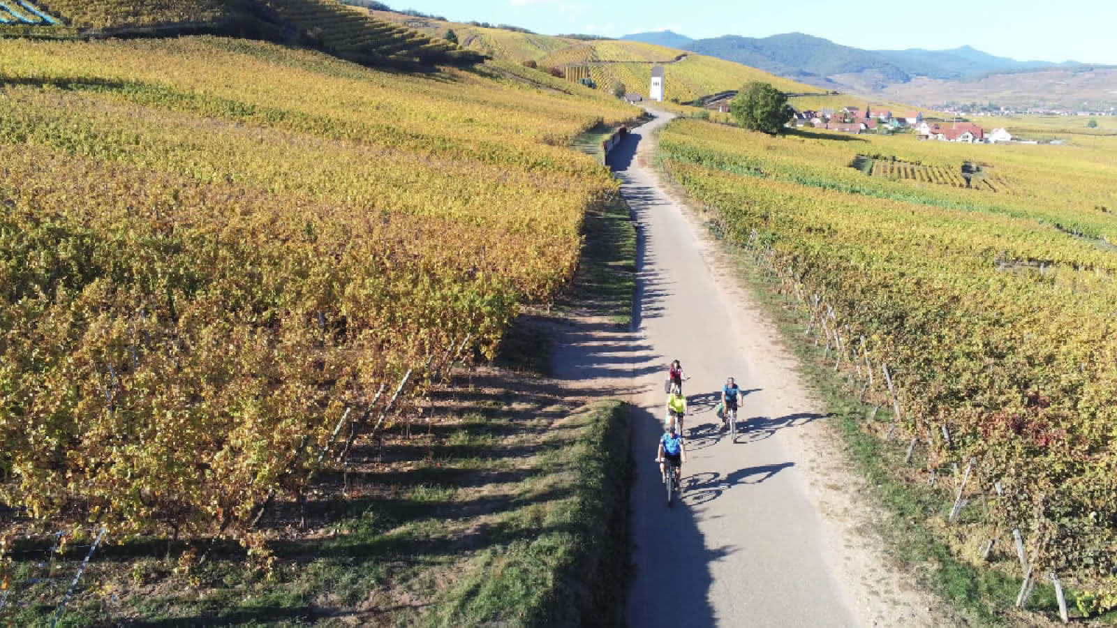 Alsa Cyclo Tours Elsass, Lebensgröße Kaysersberg