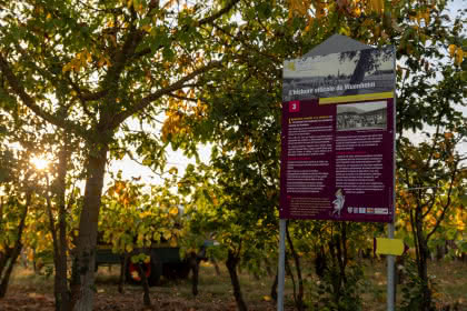 Sentier viticole de Wuenheim, vue du Hartmannswiller - crédit L. Gorkiewicz