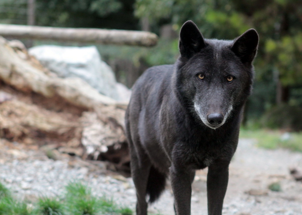 Zoologischer und botanischer Garten - Mulhouse | Visit Alsace