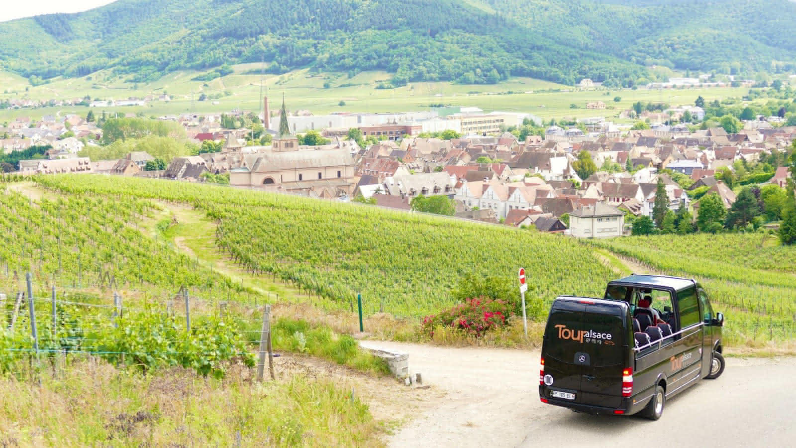 TOUR.ALSACE - Ribeauville | Visit Alsace