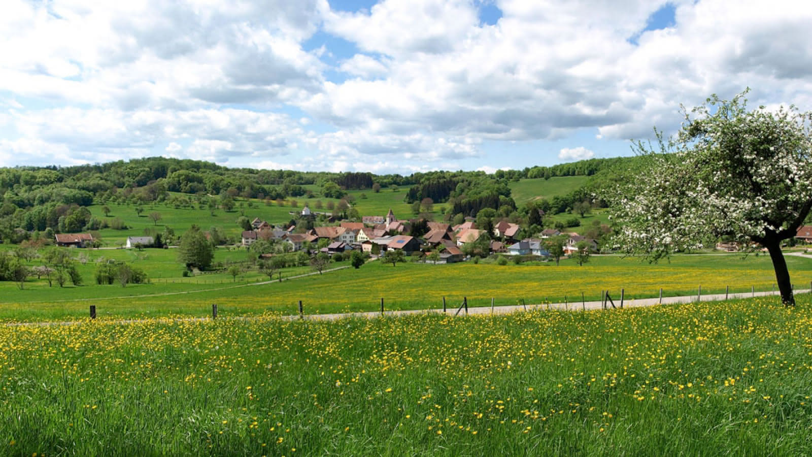 Circuit vélo du Sundgau n°7 - La haute vallée de la Largue - Ferrette ...