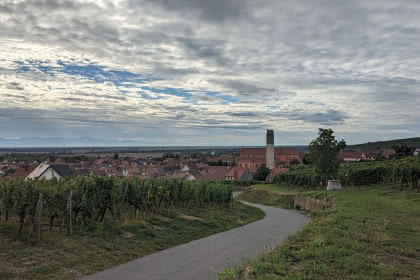 La promenade du Grand Cru Steinert, Pays de Rouffach, Vignobles et Châteaux, Haut-Rhin, Alsace (Pragma-SCF)