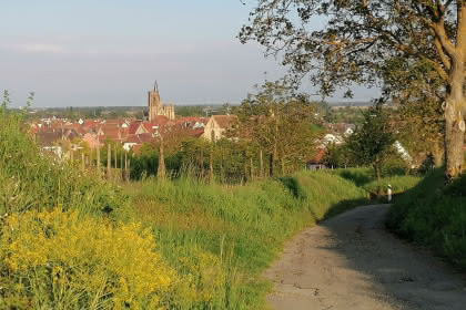 La promenade du Grand Cru Vorbourg, Pays de Rouffach, Vignobles et Châteaux, Haut-Rhin, Alsace (Patrice André - Mairie de Rouffach)