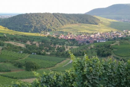 Le circuit des croix de chemin, Pays de Rouffach, Vignobles et Châteaux, Haut-Rhin, Alsace