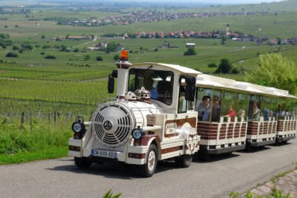 Train Gourmand du Vignoble, Eguisheim, Rouffach, Pays de Rouffach, Vignobles et Châteaux, Haut-Rhin, Alsace