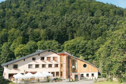 L'Hôtel la Fischhutte à Mollkirch, Alsace